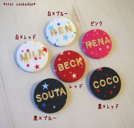 かわいいおしゃれな星柄のお名前刺繍缶バッジ*ファーニー